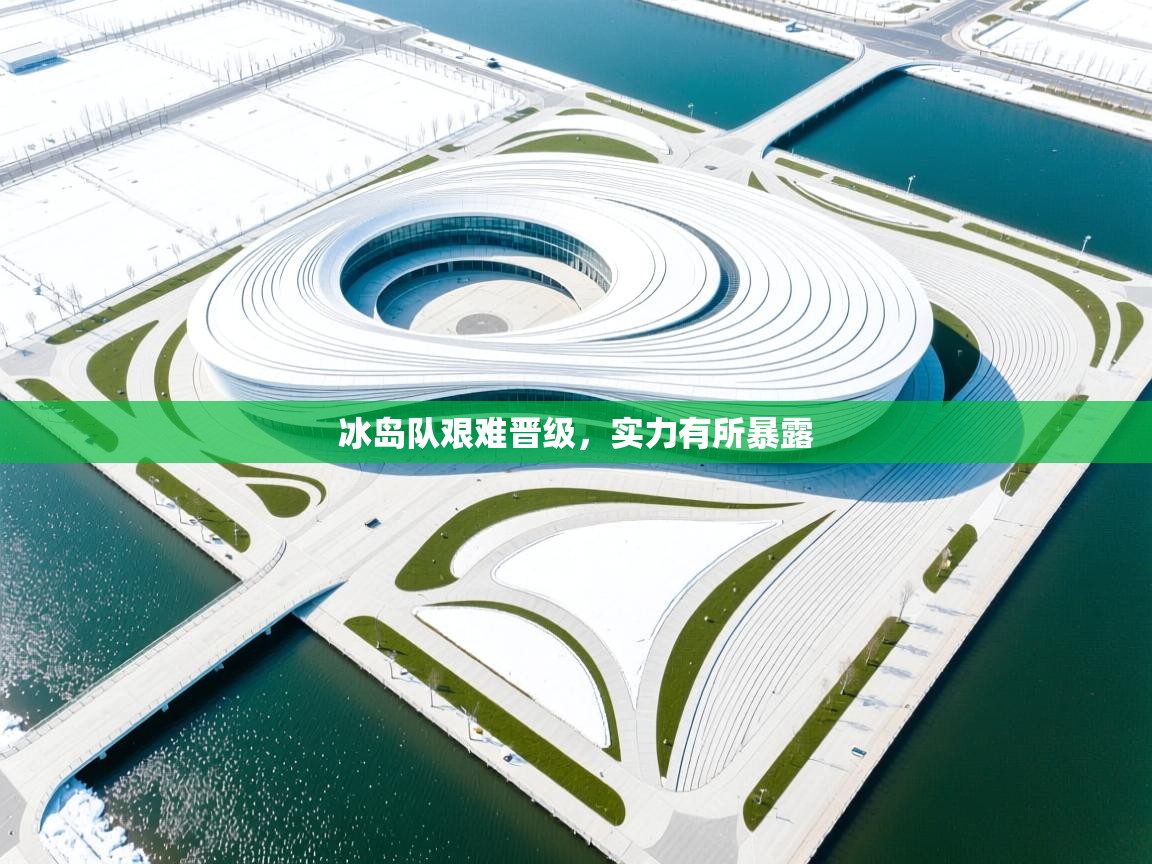 冰岛队艰难晋级，实力有所暴露  第2张